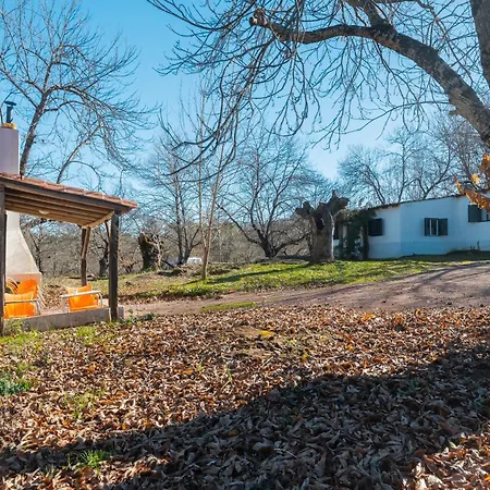 La Casa Del Taller